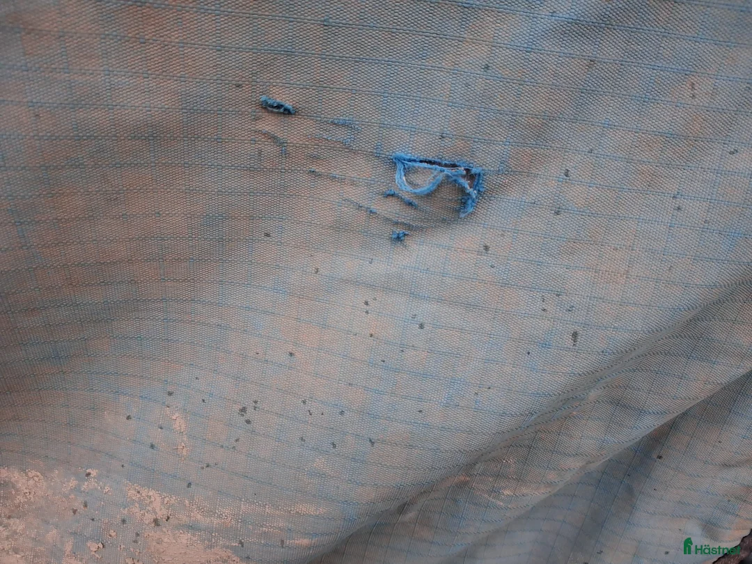 Täcken hästutrustning till salu: Utetäcke 155cm i Örbyhus - Annons 2