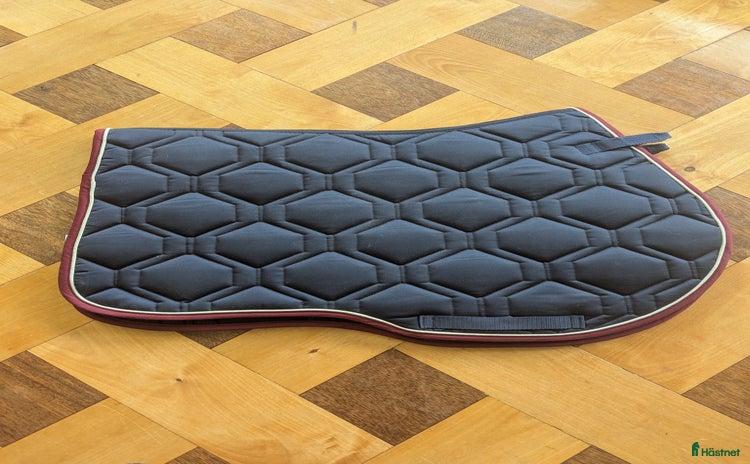 Schabrak & Vojlockar hästutrustning till salu i Ås - Annons 13