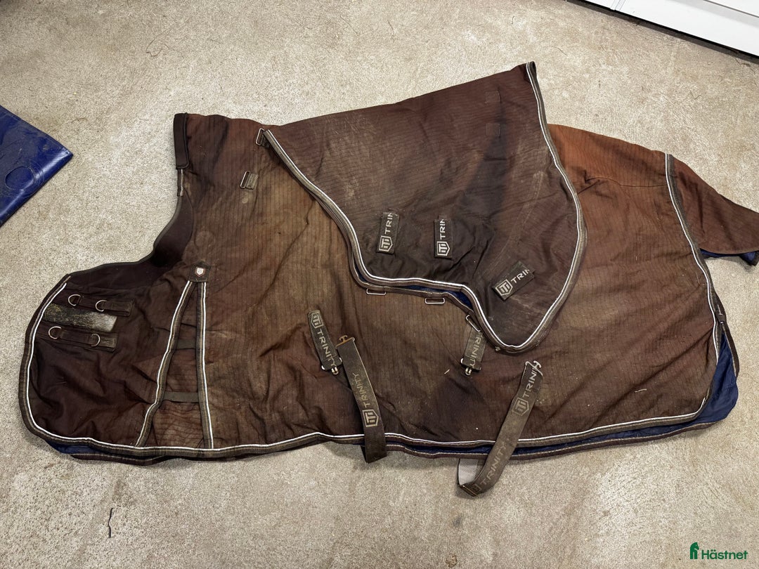 Täcken hästutrustning till salu: Täcken - Annons 3