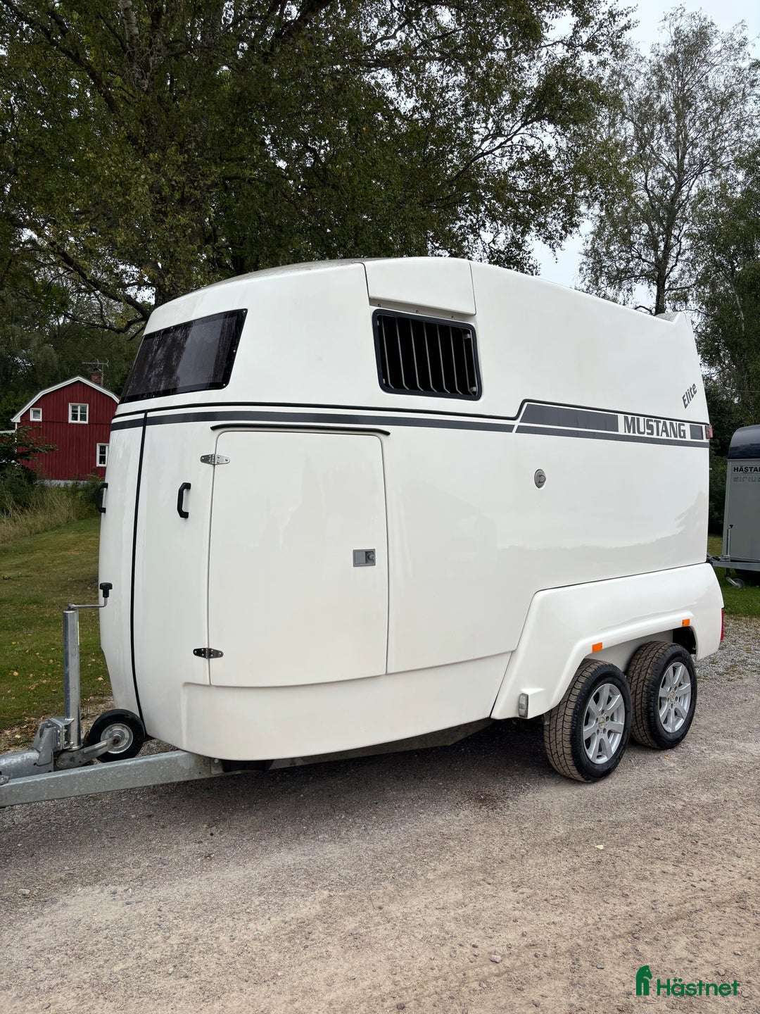 Hästtransporter  fordon & transport till salu: Mustang Elit-2019 hästtransport  i Västerås - Annons 2