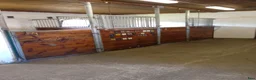  stallplats finnes: Box ledig  - Annons 2