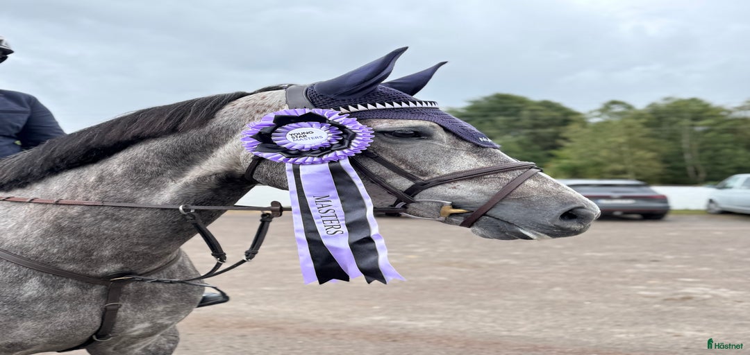 Galleribild {{count}}