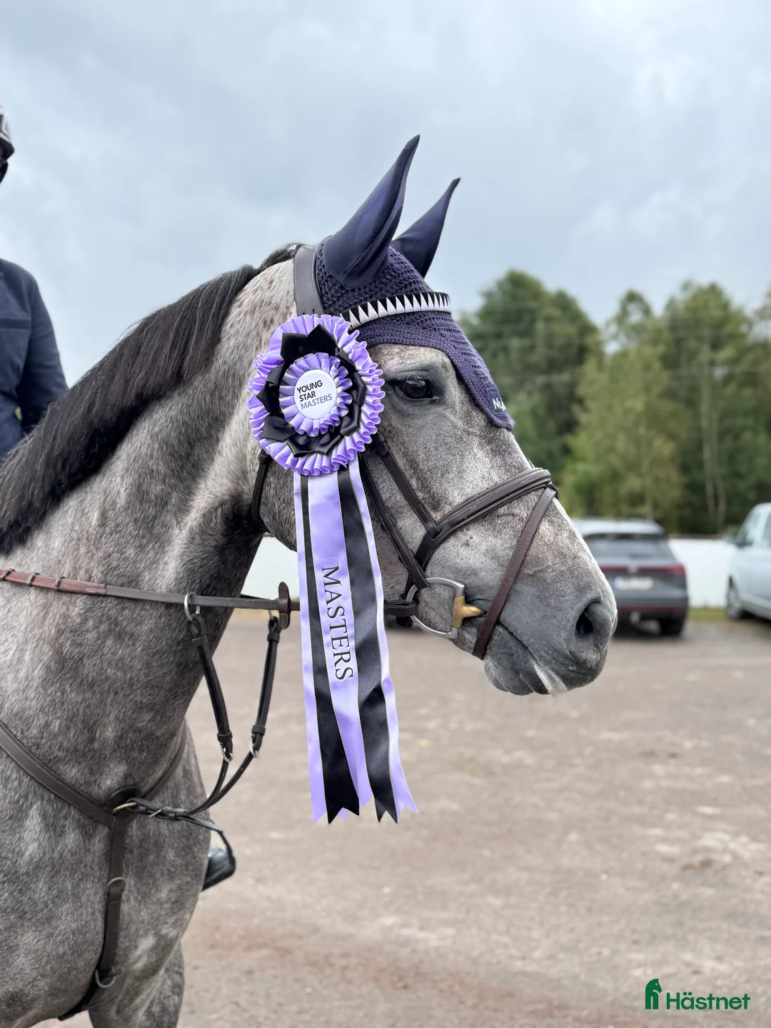 Galleribild {{count}}