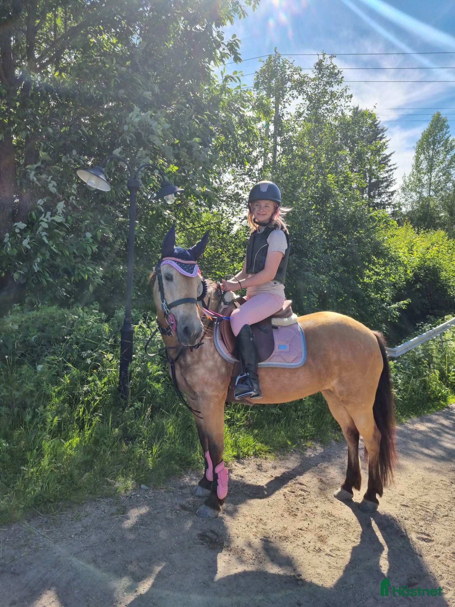  hästar Fantastisk b-ponny - Annons 1