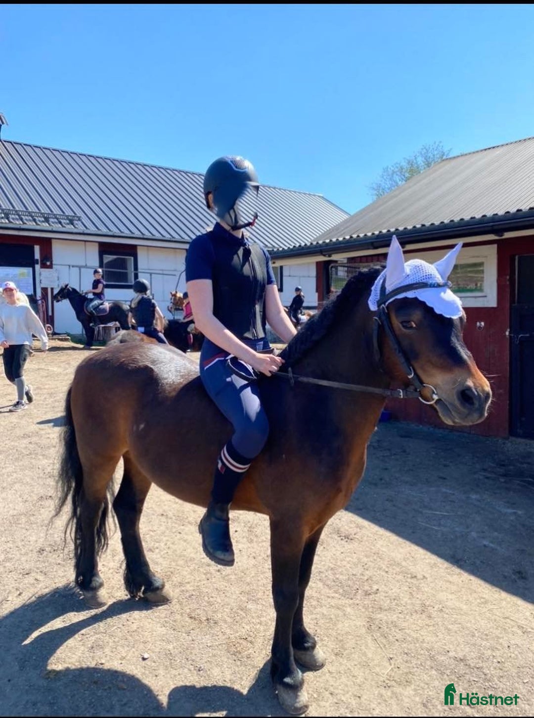  foderhäst finnes: Snäll skogsponny ca 122 cm. i Åkersberga - Annons 5