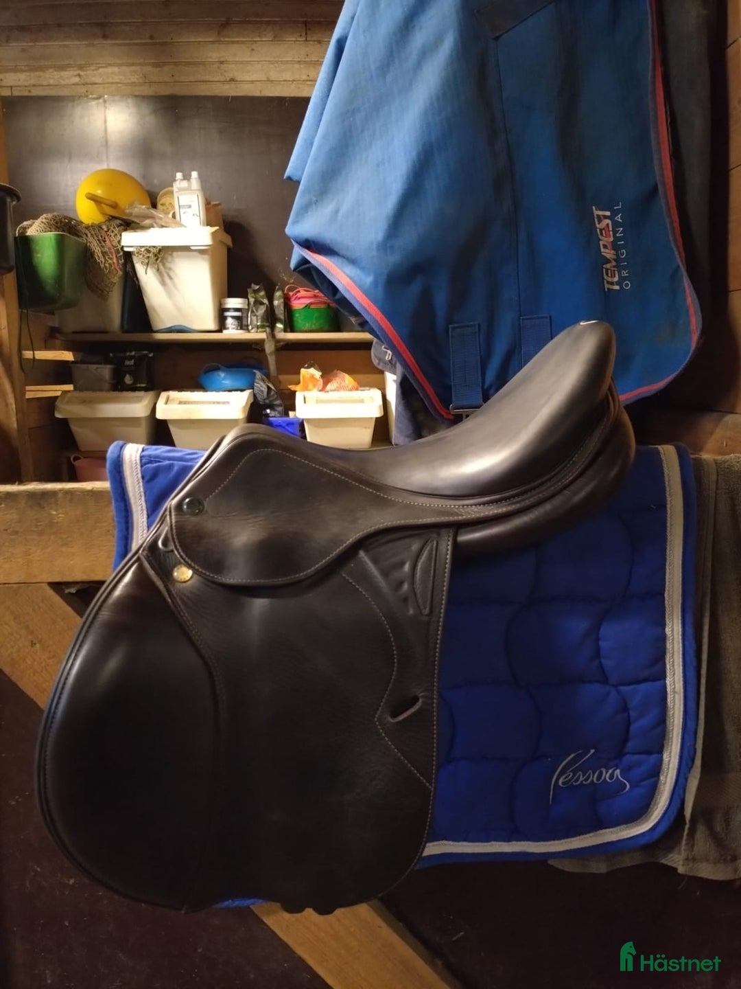 Sadlar hästutrustning till salu: Prestige Versailles i Blankaholm - Annons 2