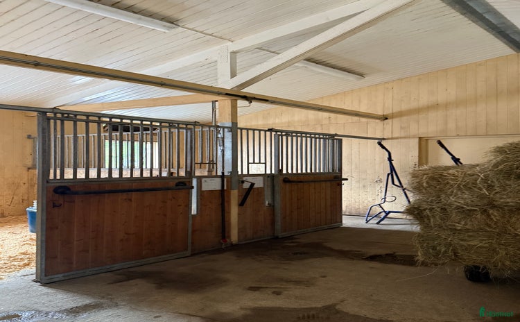  stallplats i Tystberga - Annons 16