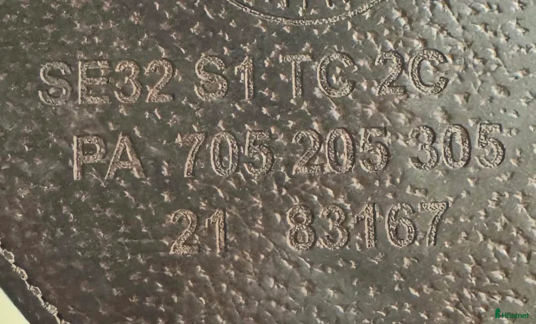 Sadlar hästutrustning till salu: Välvårdad CWD 17 tum  - Annons 3
