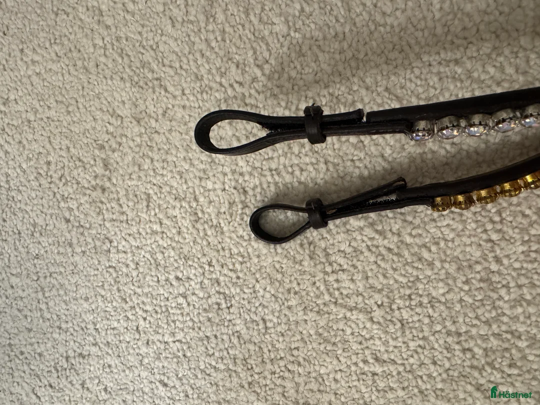 Träns hästutrustning till salu: Superfina pannband✨ i Gävle - Annons 6