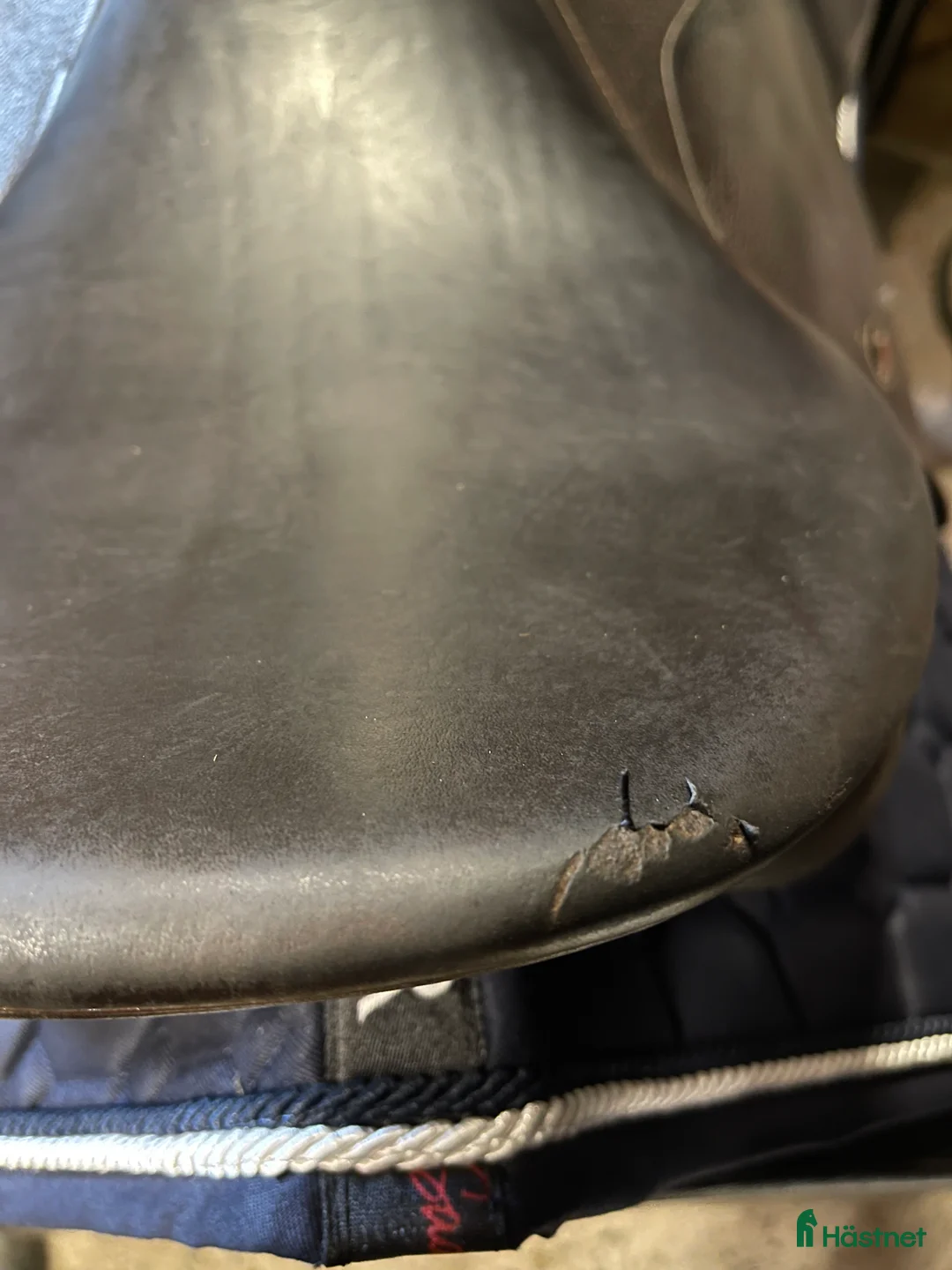 Sadlar hästutrustning till salu: Lippo Enzo i Hova - Annons 2