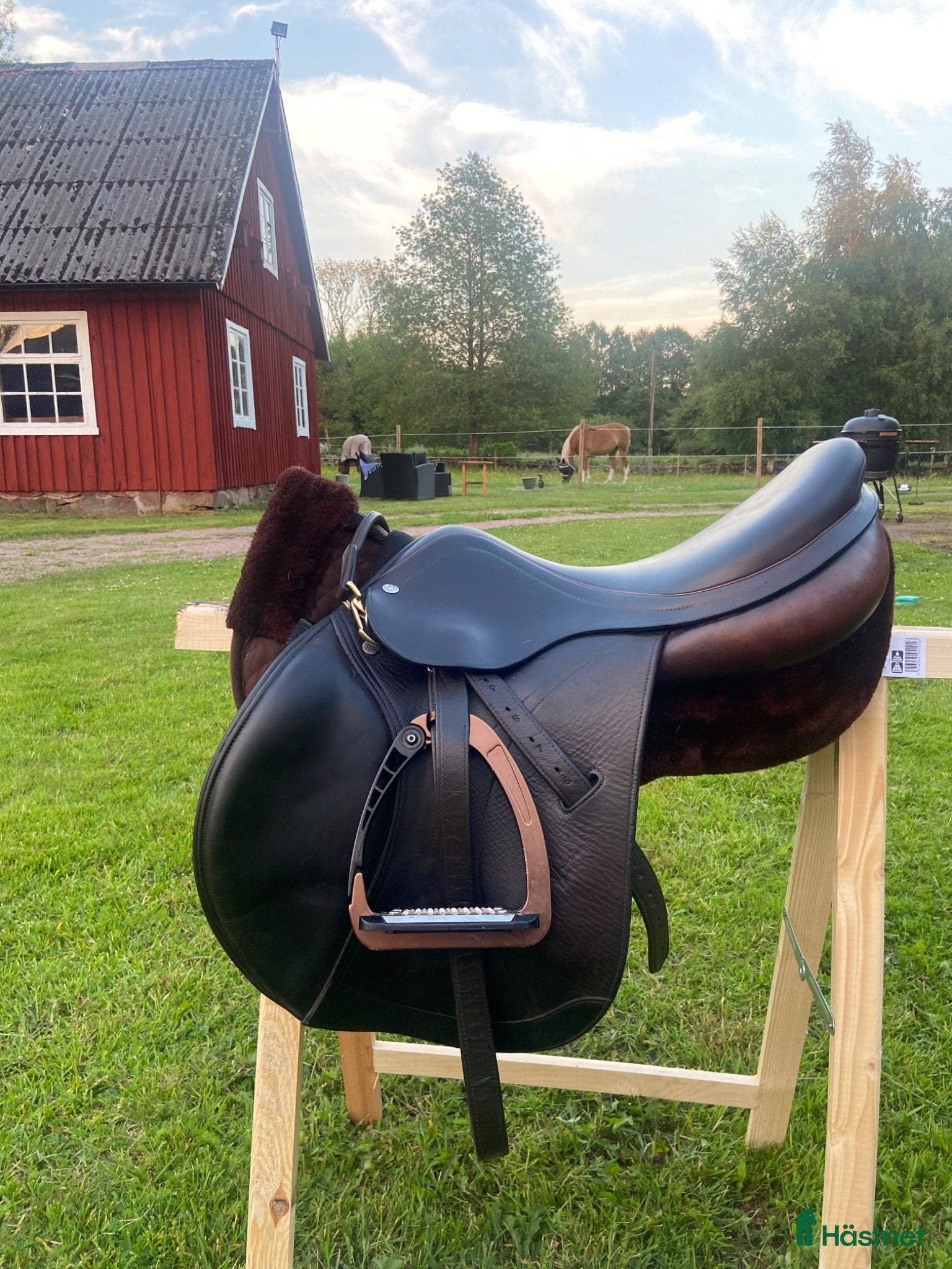 Sadlar hästutrustning Superfin Equipe expression  - Annons 12