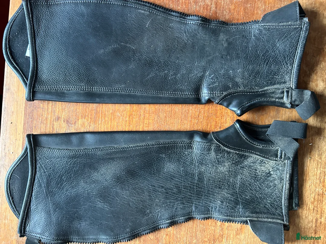 Ridstövlar ryttarutrustning till salu: Dyon chaps  i Ramsele - Annons 2
