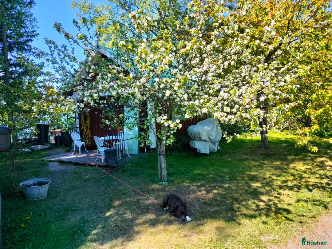 Galleribild {{count}}