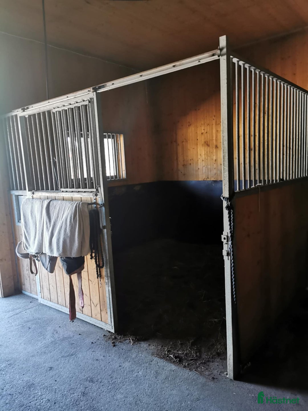  foderhäst sökes: Foderhäst/bästa kompis sökes - Annons 2