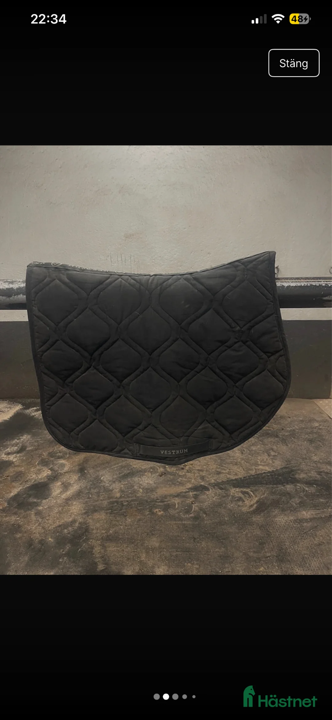 Schabrak & Vojlockar hästutrustning till salu: Vestrum schabrak  - Annons 2