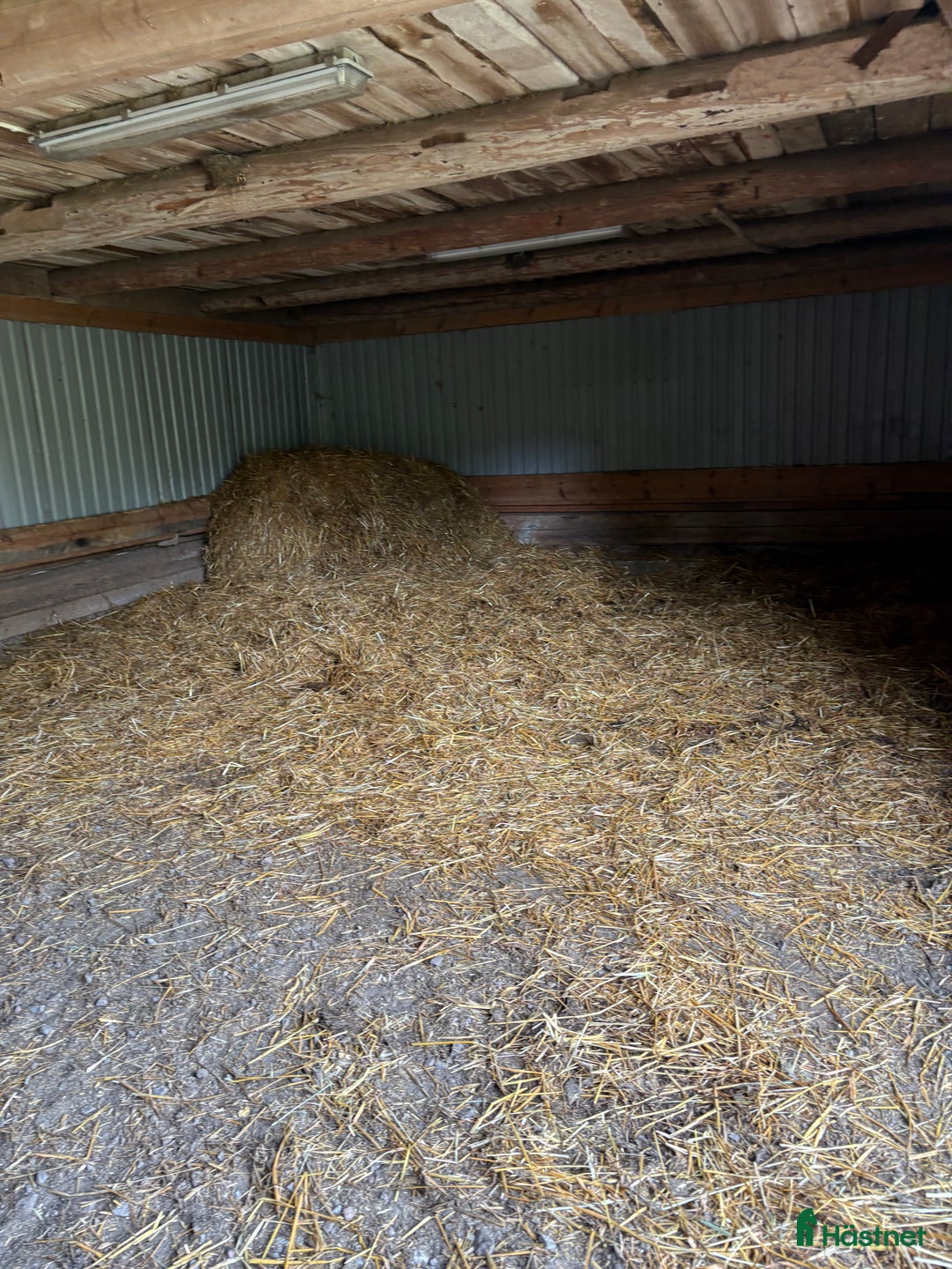  stallplats finnes: Lösdriftsplatser i Lugnet Falun i Falun - Annons 3