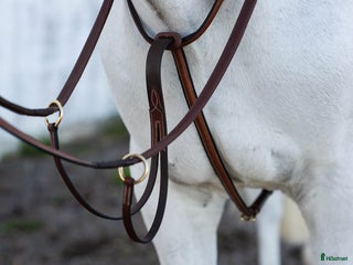 Övrig Hästutrustning hästutrustning till salu: Martingal brun läder i Göteborg - Annons 1