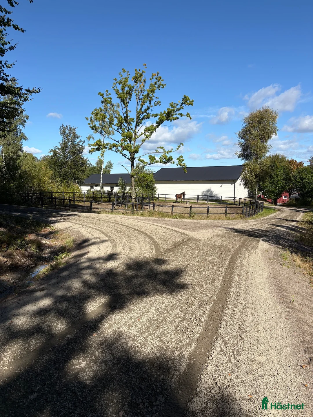  hästgårdar till salu: Hus och boxplatser uthyres - Annons 2