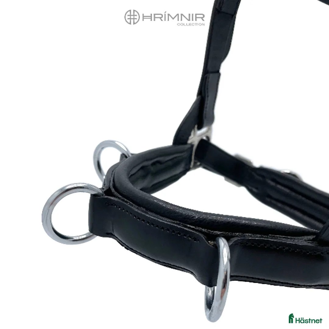 Träns hästutrustning till salu: Hrimnir kapson Atlas med fast järn 1500 kr i Åkersberga - Annons 4