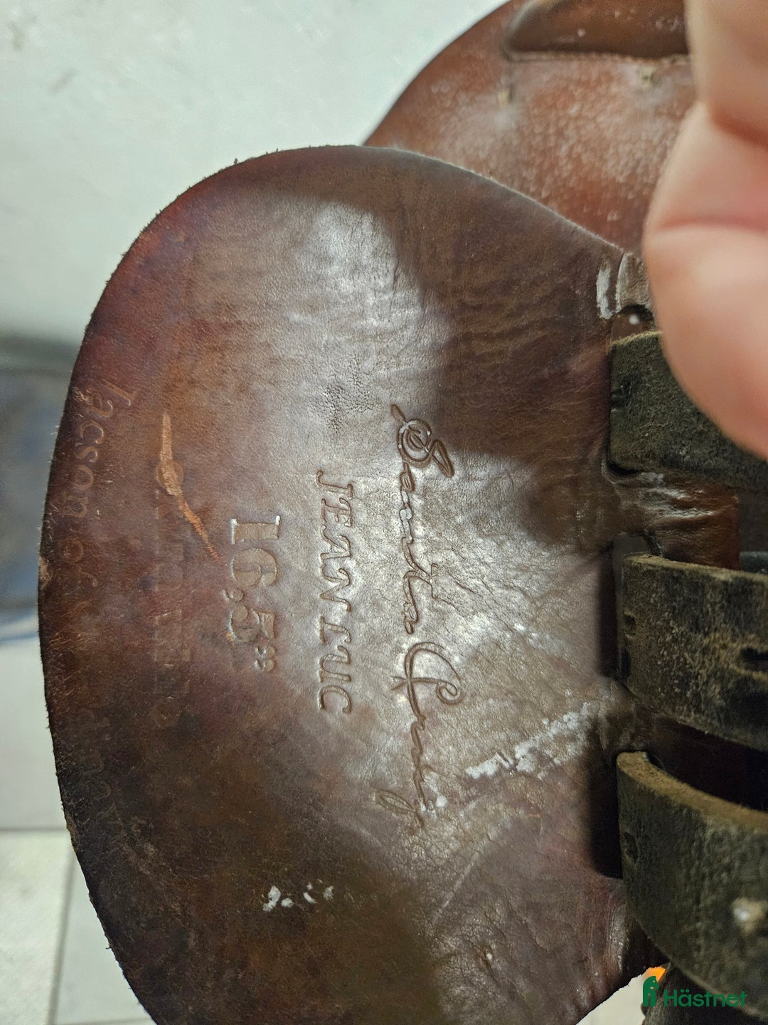 Sadlar hästutrustning till salu: Santa cruz  i Alingsås - Annons 3