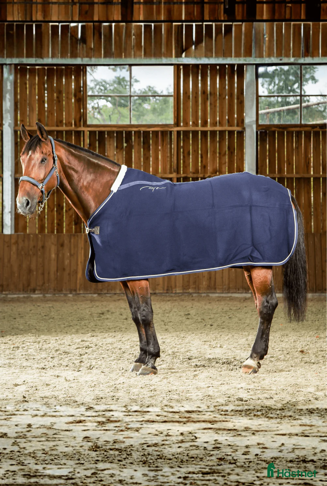 Täcken hästutrustning till salu: Dyon ulltäcke i Östhammar - Annons 3