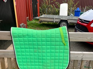 Schabrak & Vojlockar hästutrustning till salu: Ljusgrönt dressyr schabrak i Vejbystrand - Annons 1