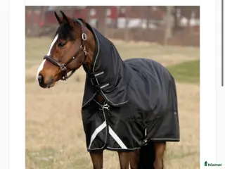 Täcken hästutrustning Hansbo utetäcke - Annons 3