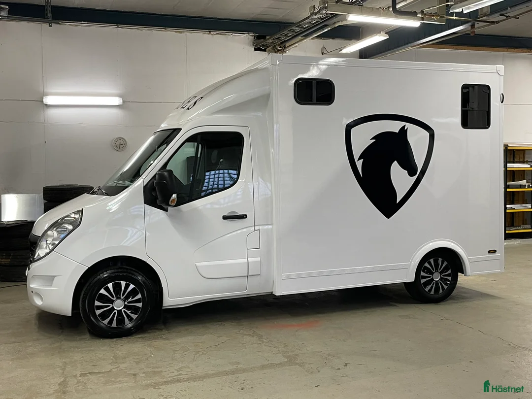 Hästlastbilar  fordon & transport till salu: Renault Master. Hästlastbil,B-kort.Lastvikt 1100kg - Annons 1