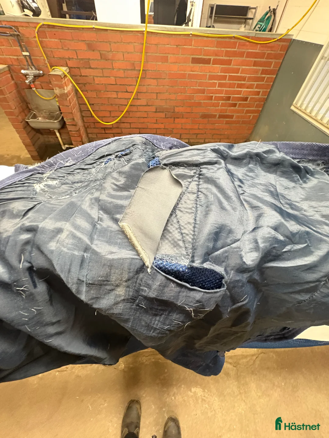 Täcken hästutrustning till salu: Rambo summer series - Annons 3