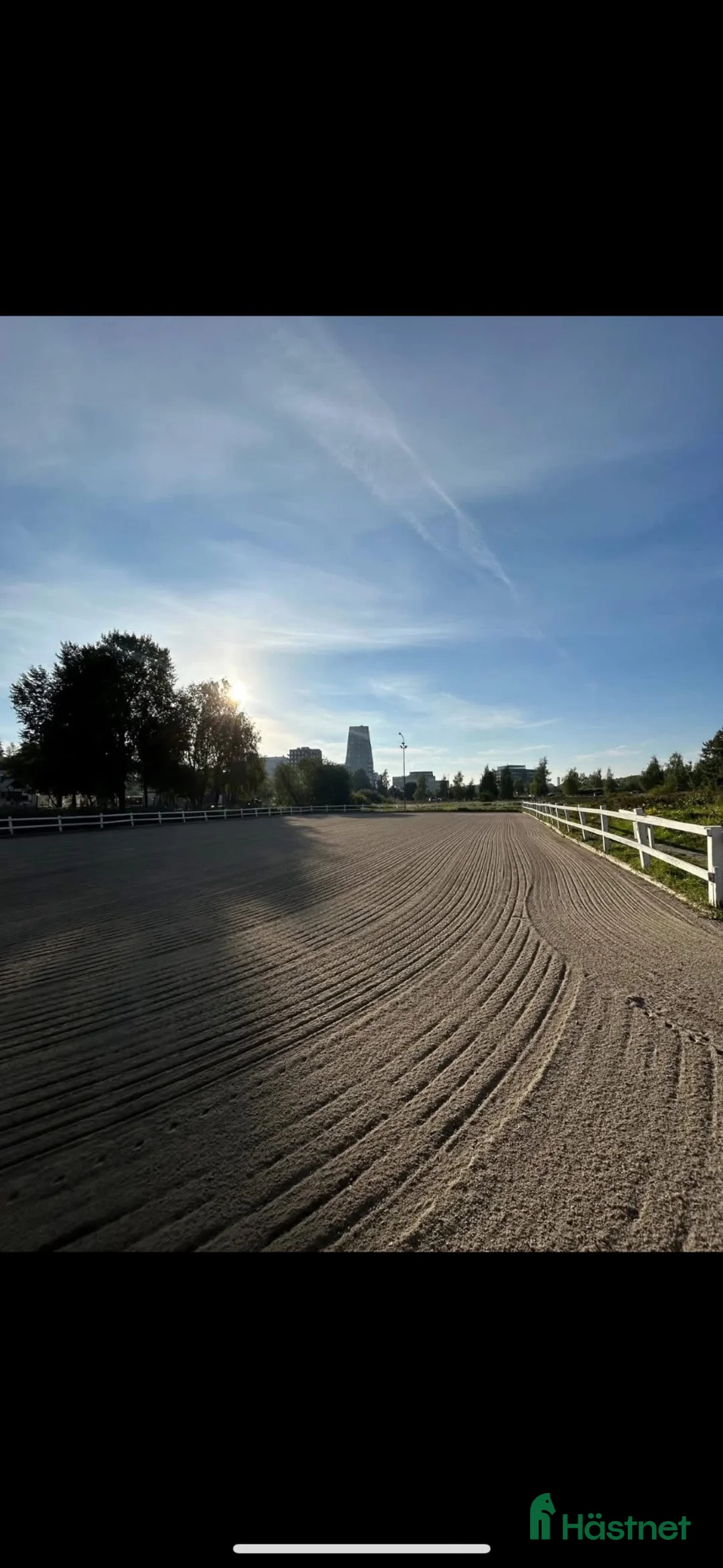  stallplats finnes: Sundbybergs ryttarförening söker stallkompis  - Annons 2