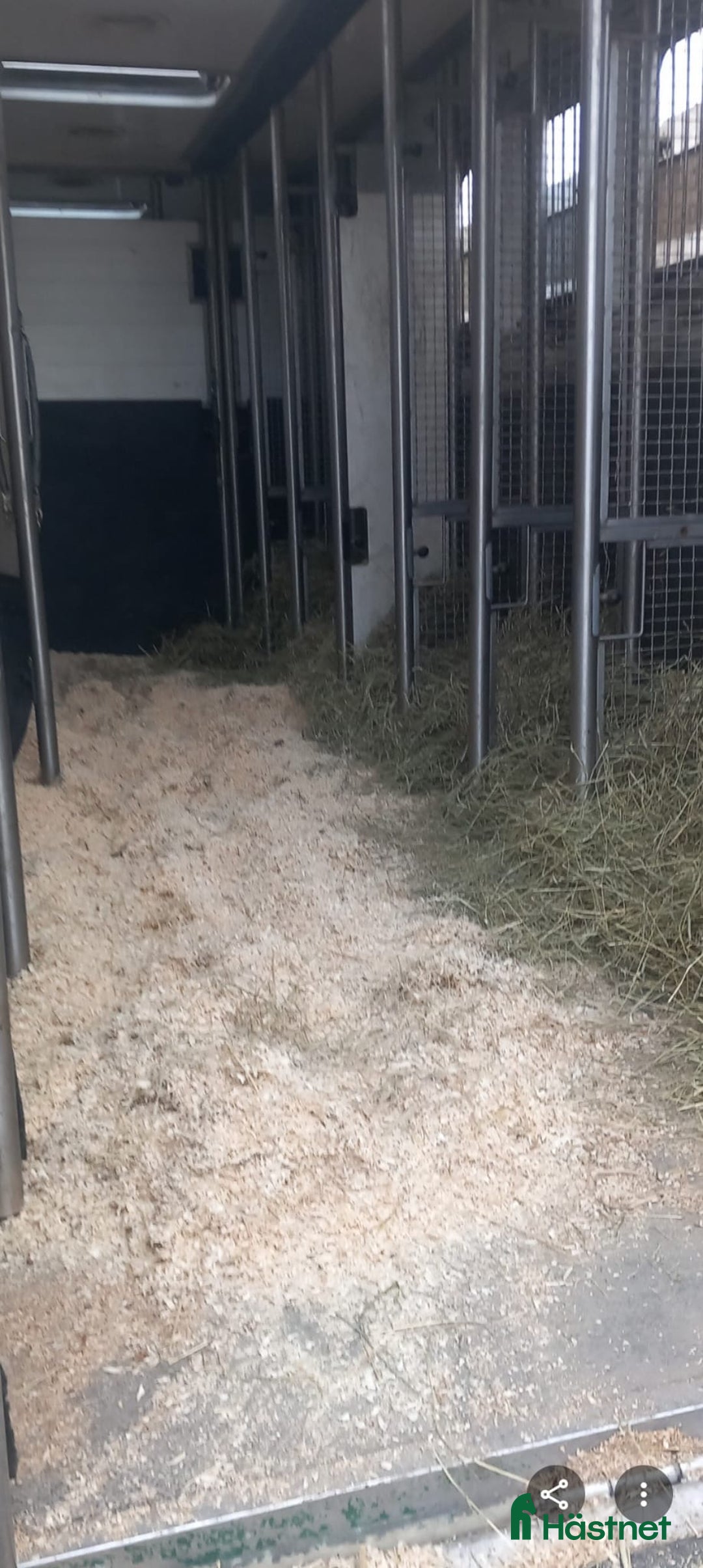 Hästlastbilar  fordon & transport till salu: Scania med flexibel inredning  i Teckomatorp - Annons 2