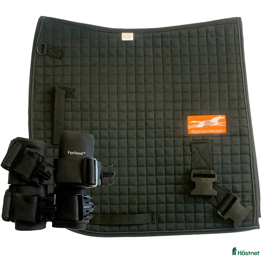Övrig Hästutrustning hästutrustning till salu: Equiband  i Örebro - Annons 10