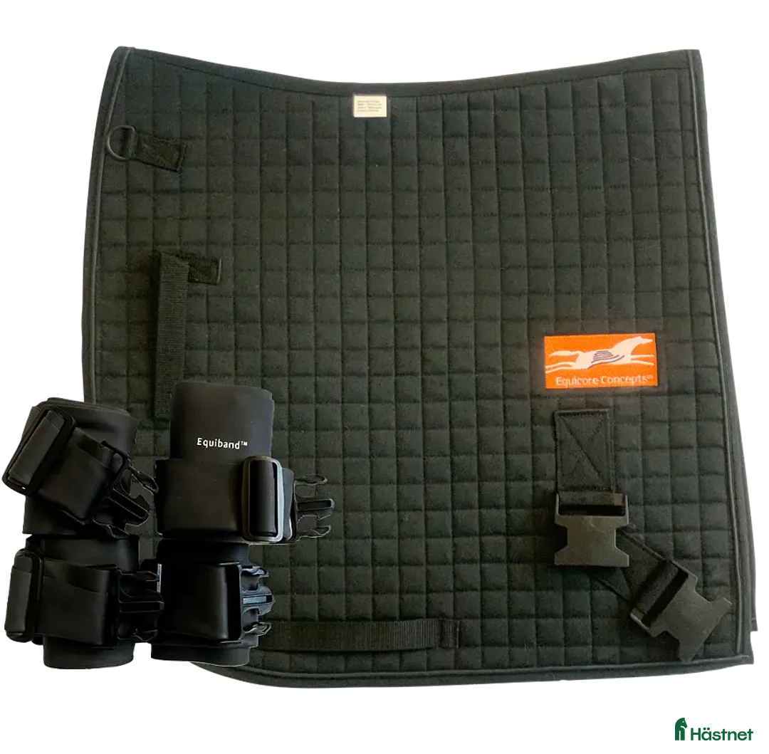 Övrig Hästutrustning hästutrustning till salu: Equiband  i Örebro - Annons 1
