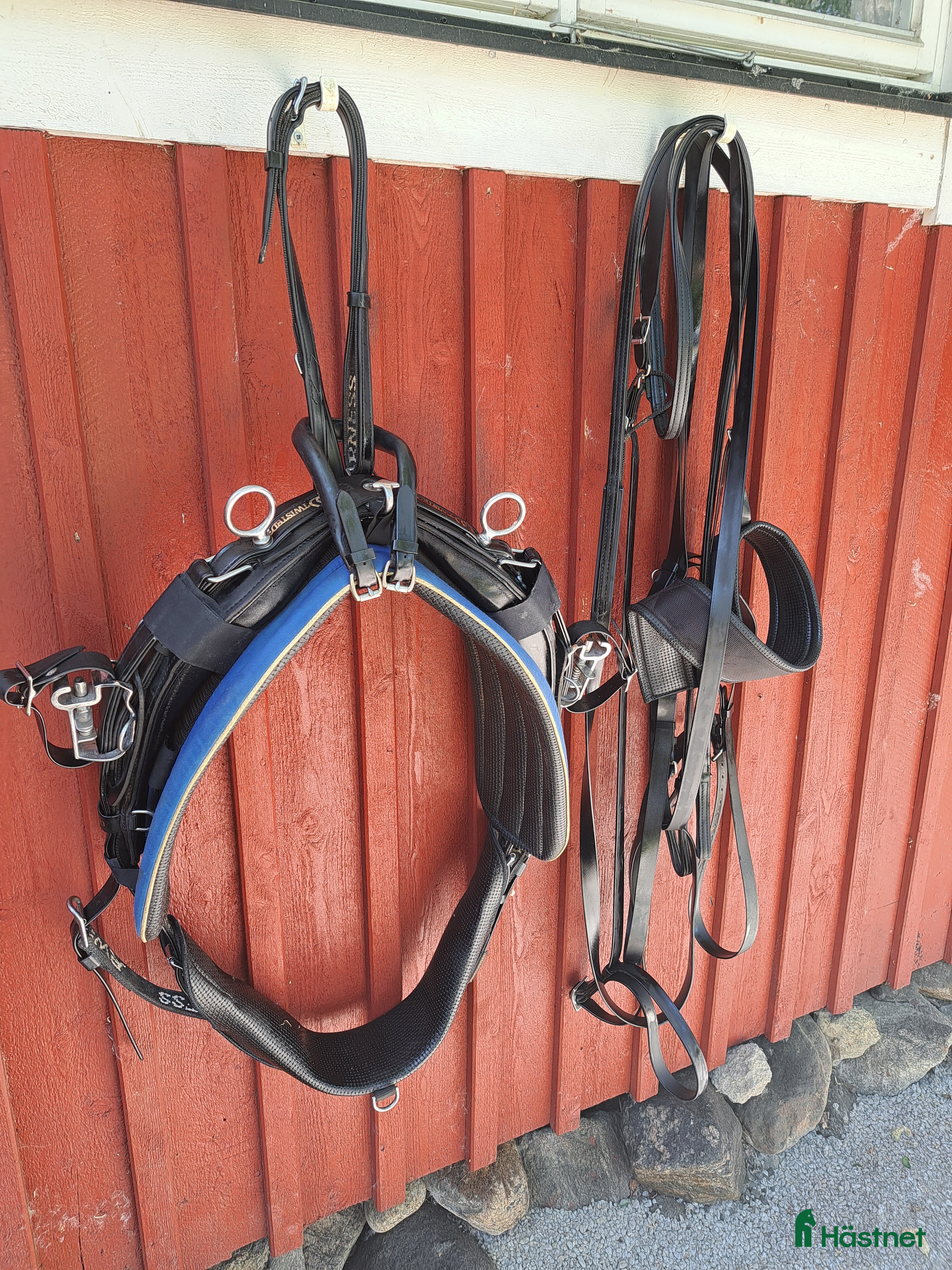 Travselar trav till salu: Travsele Rw twisted - Annons 1