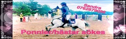 Allround hästar sökes: Ponnier/hästar köpes i Kosta - Annons 1