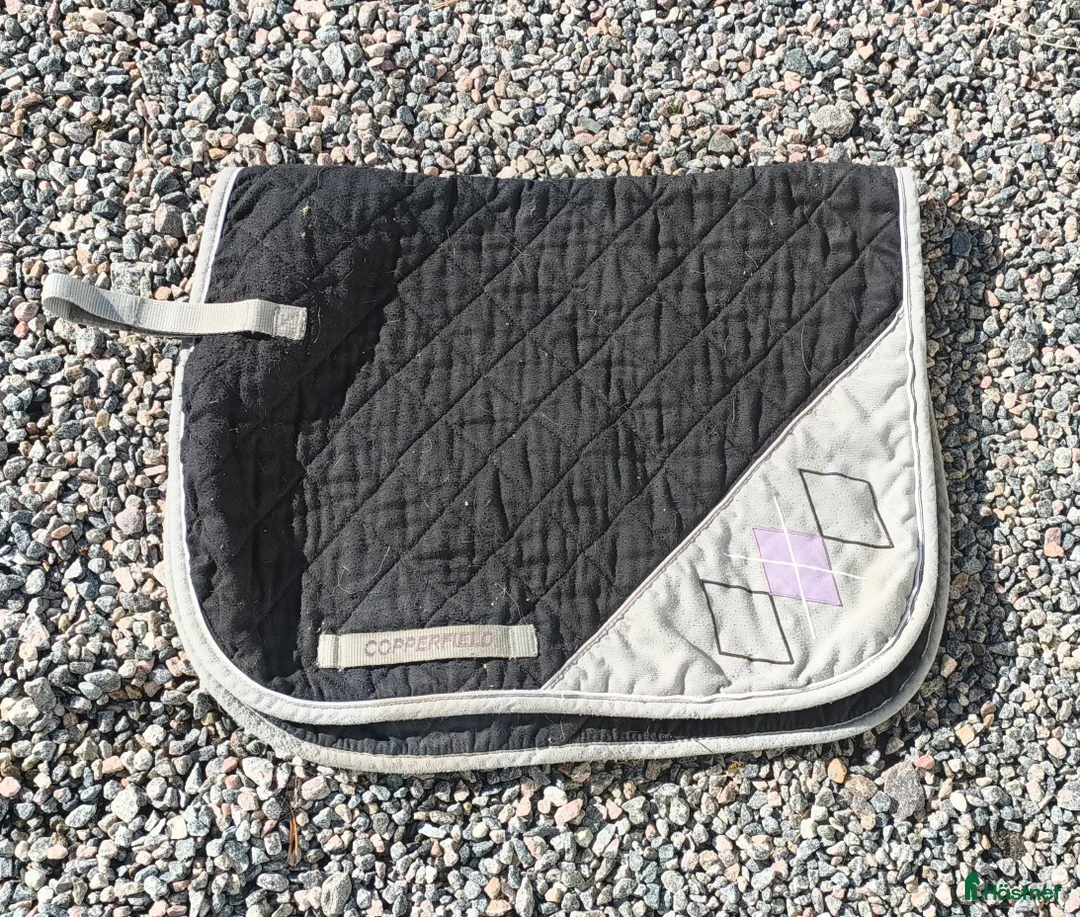 Schabrak & Vojlockar hästutrustning till salu: Olika schabrak från oanvända till begagnade - Annons 6