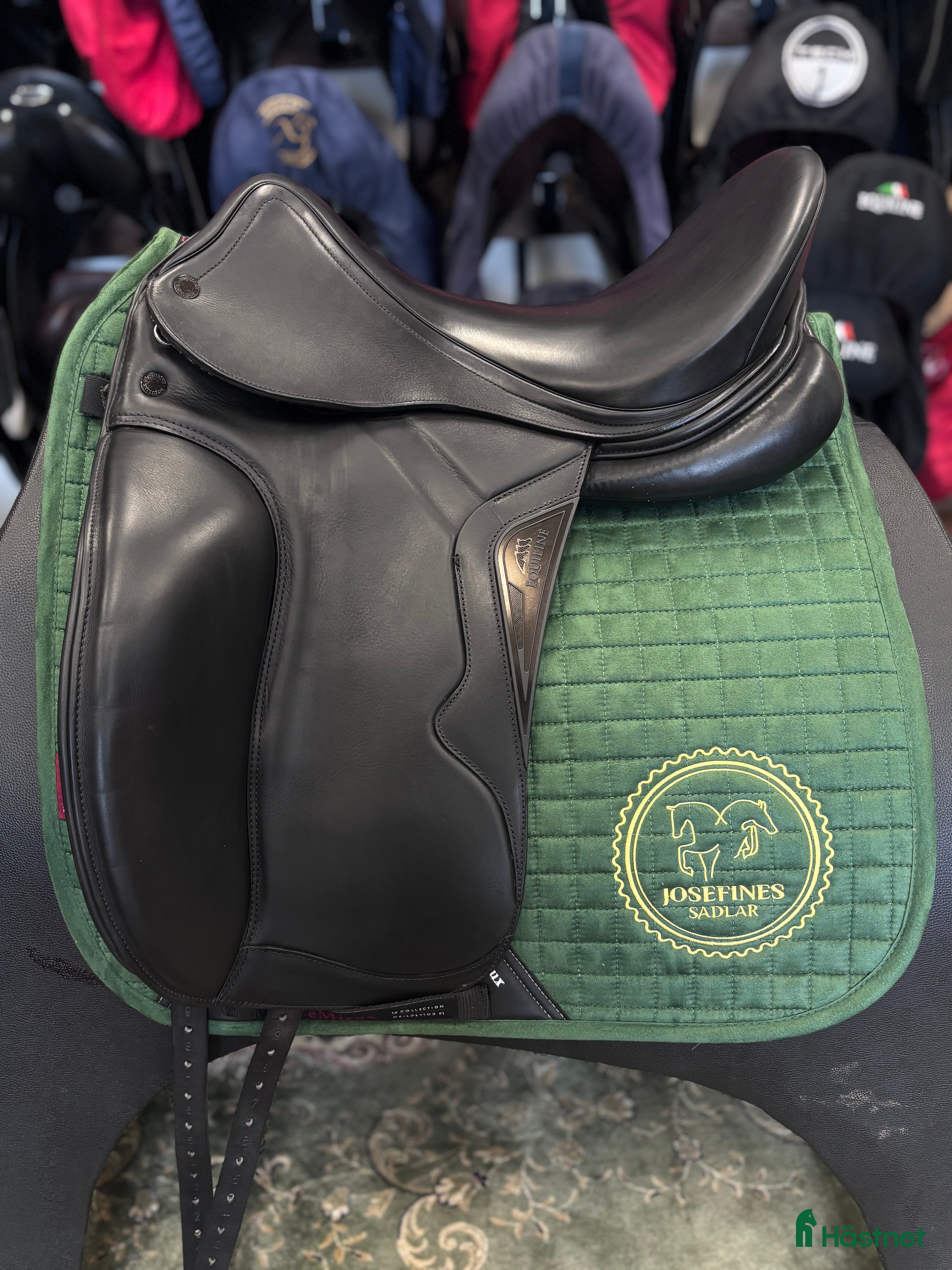 Sadlar hästutrustning Equiline Shyny i Hova - Annons 5