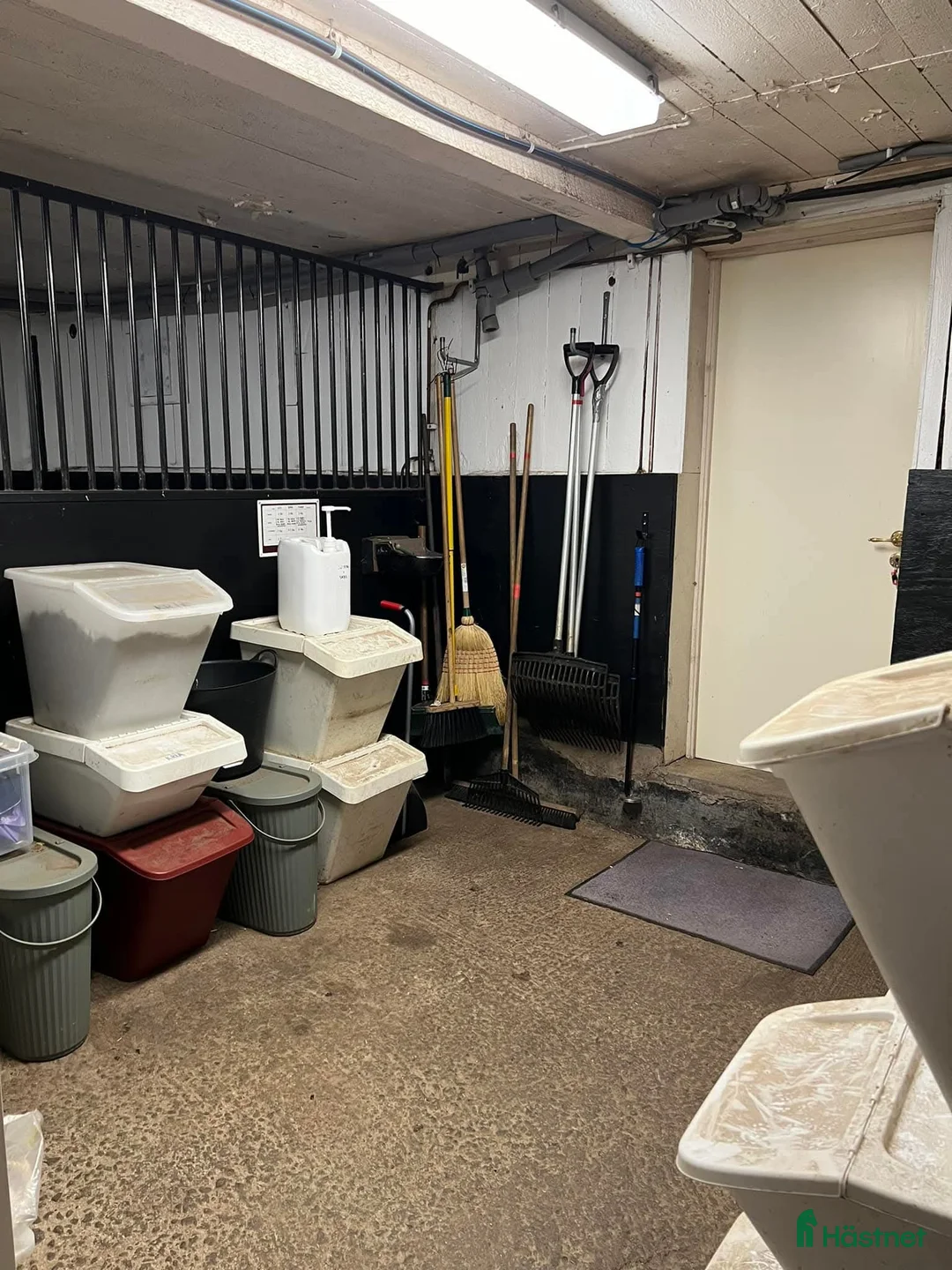  stallplats finnes: Stallplats för islandshäst Rö/Rimbo! i Rö - Annons 11