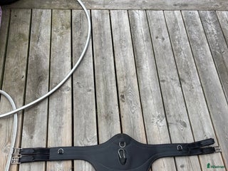 Sadeltillbehör hästutrustning till salu: Lippo magplatta i Eslöv - Annons 24