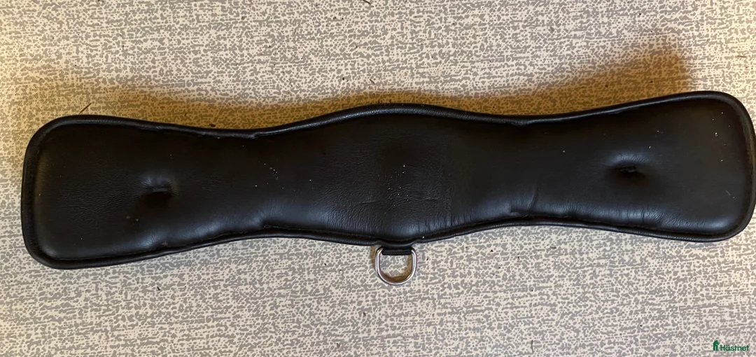 Sadeltillbehör hästutrustning till salu: Dressyrgjord i Rödeby - Annons 3