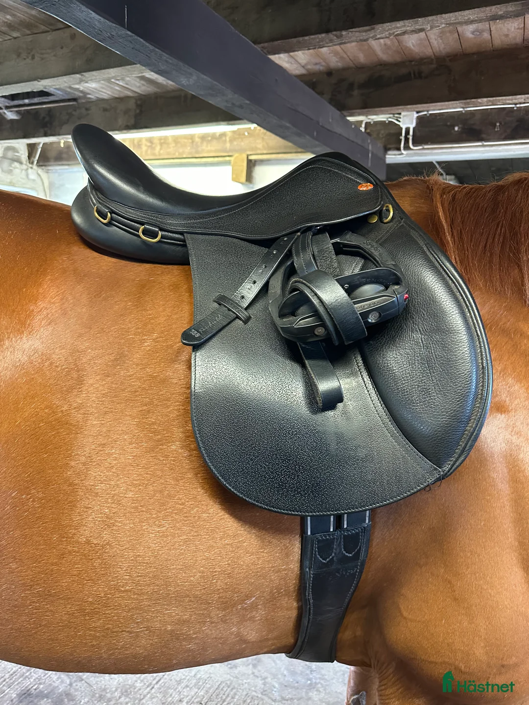 Sadlar hästutrustning till salu: Fin allround sadel i Vittskövle - Annons 2