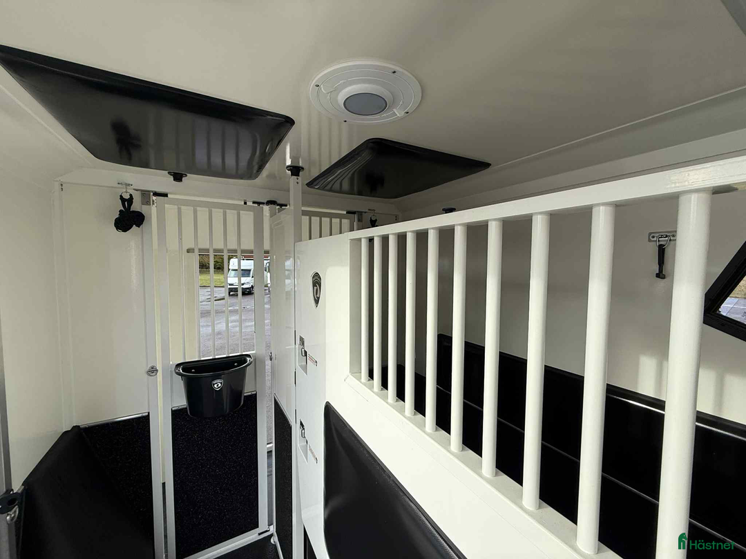 Hästlastbilar  fordon & transport till salu: PARAGAN GRAND PRESTIGE  i Köping - Annons 10