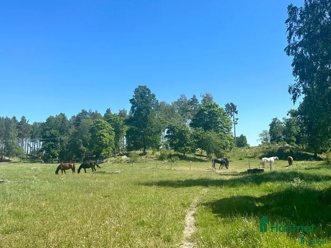  stallplats finnes: Lösdrift nära Eskilstuna i Eskilstuna - Annons 4