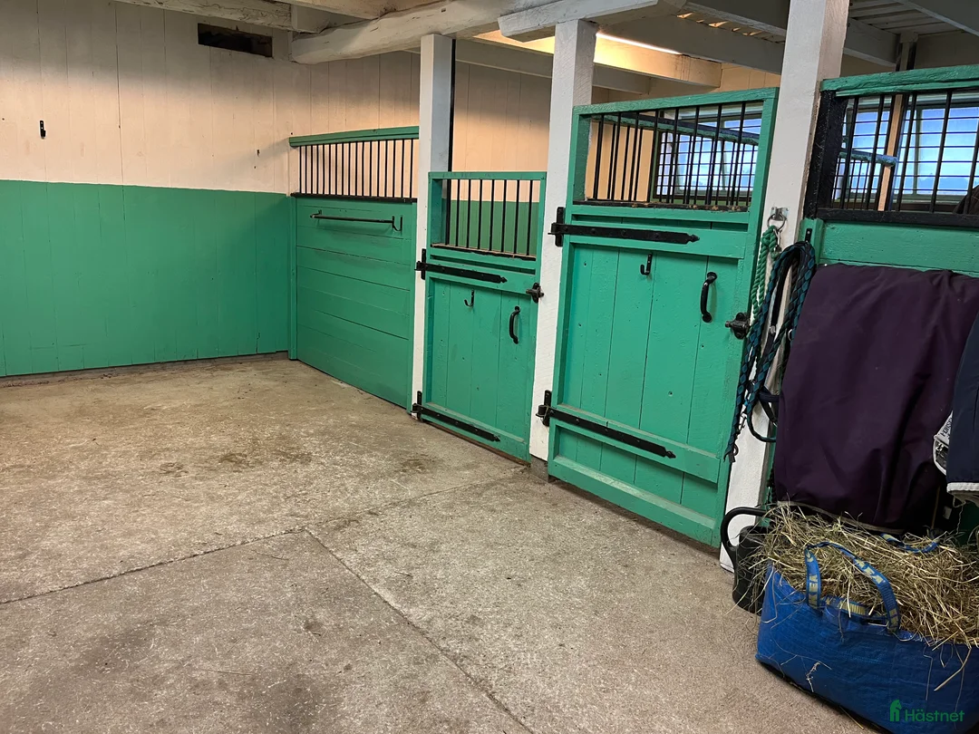 stallplats finnes: Stallplats Björnlunda Gnesta i Björnlunda - Annons 2