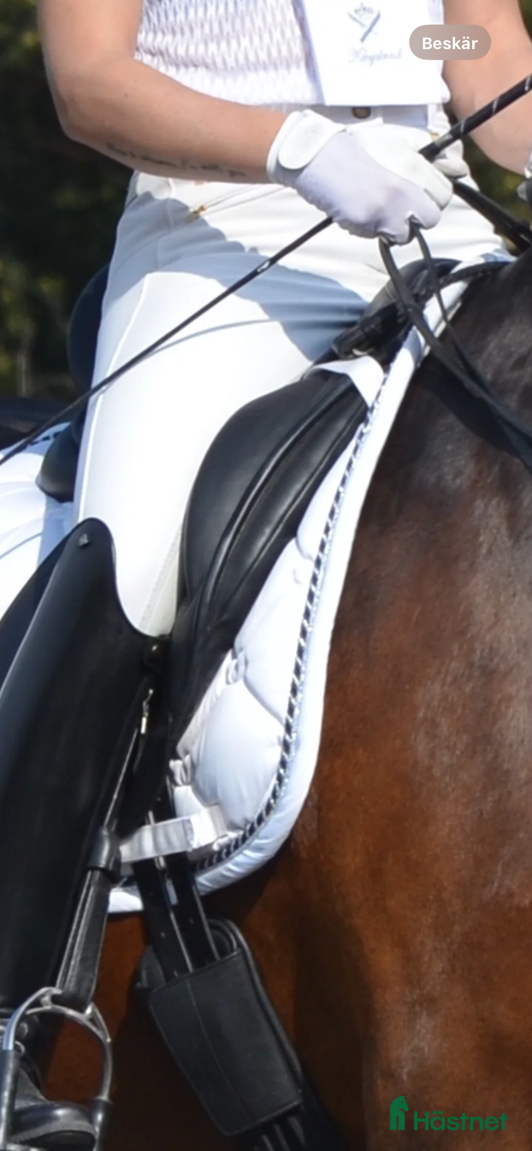 Sadlar hästutrustning till salu: Sadel till den högställda hästen - Annons 3