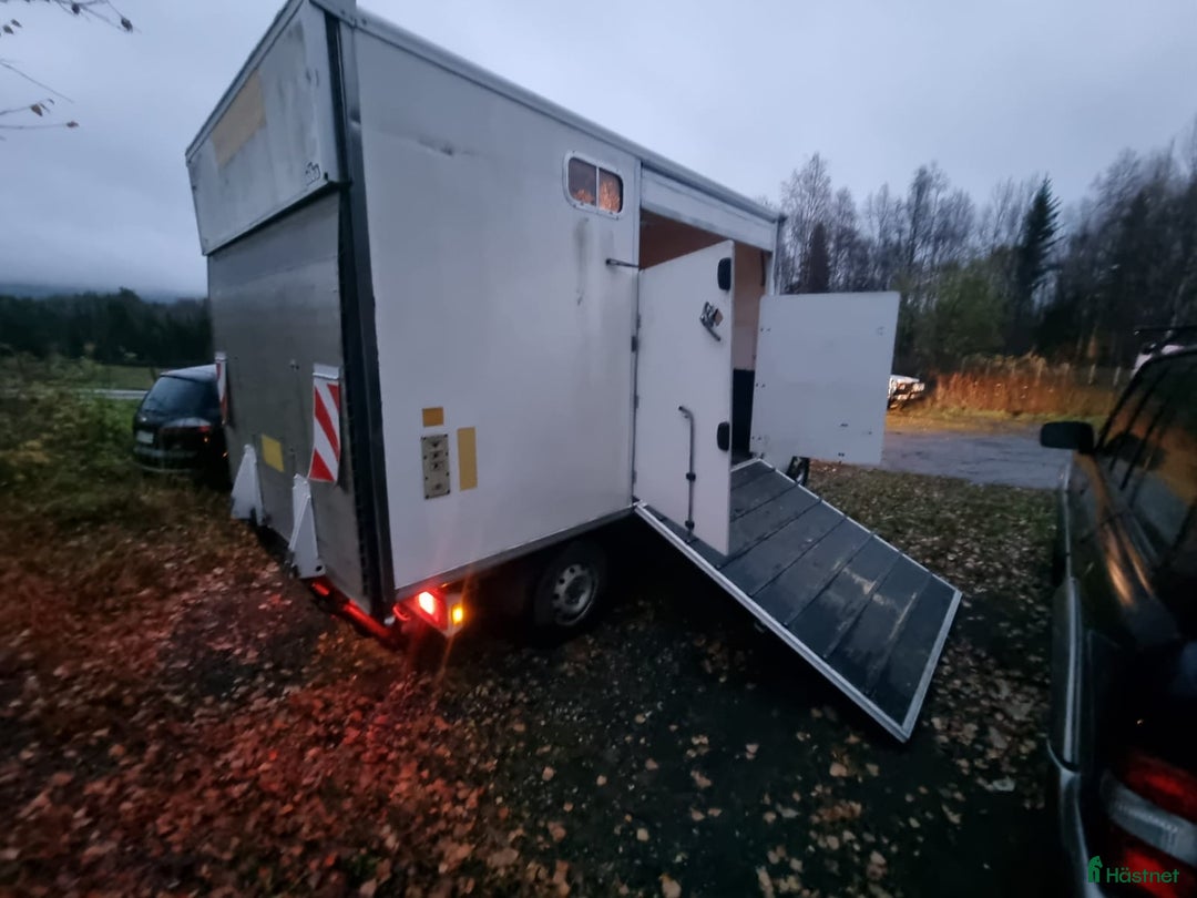 Hästlastbilar  fordon & transport till salu: Hästlastbil/Hästtransporter i Hoting - Annons 4