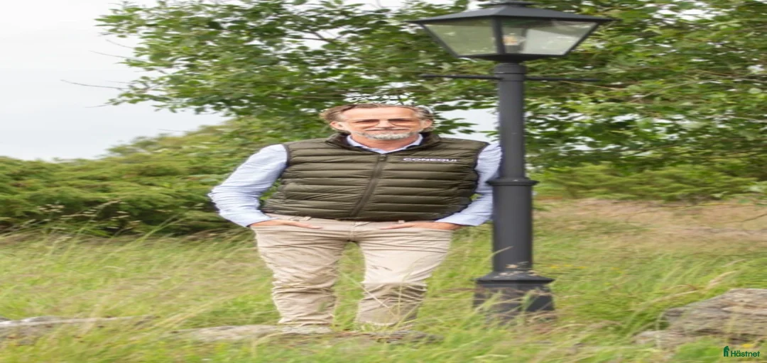 Galleribild {{count}}