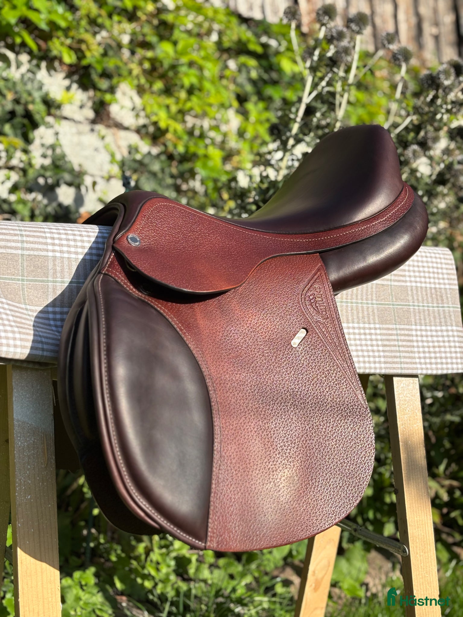 Sadlar hästutrustning Equiline E5 hoppsadel 16” L - Annons 2