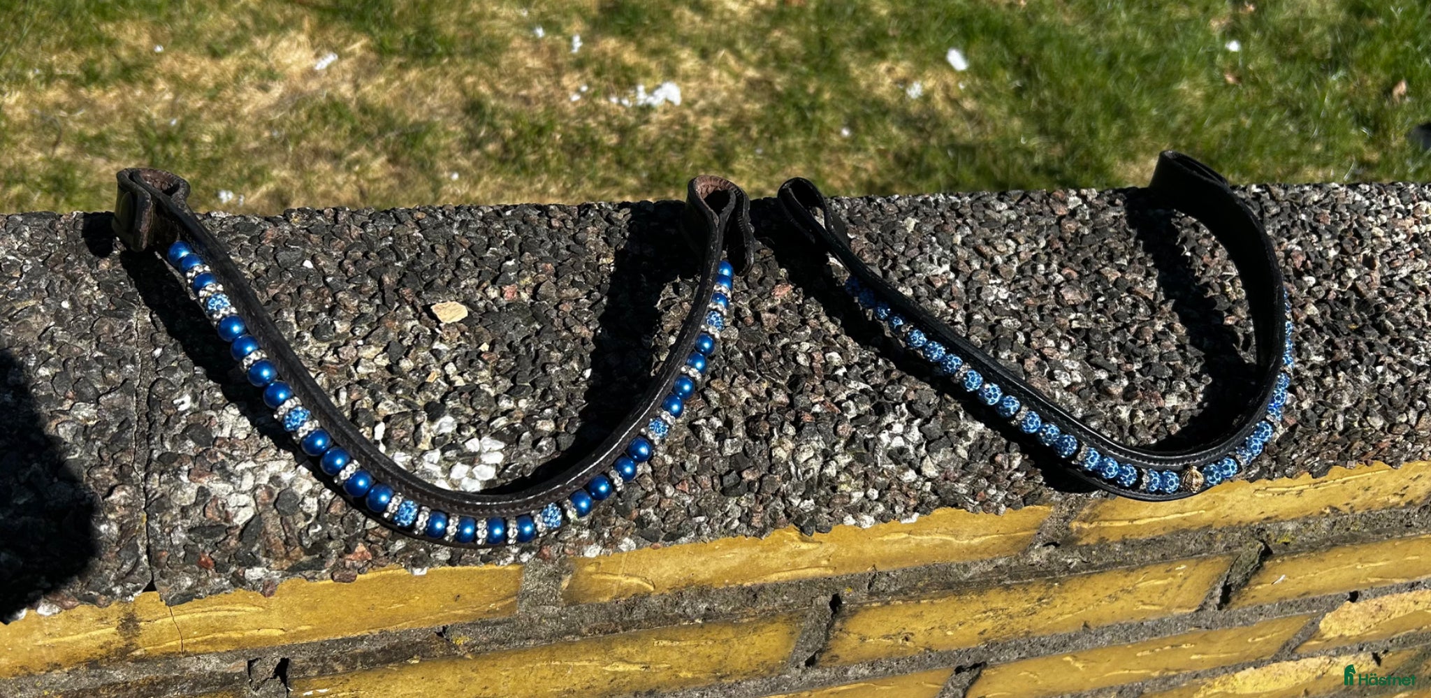 Träns hästutrustning 2 blå pannband - Annons 4