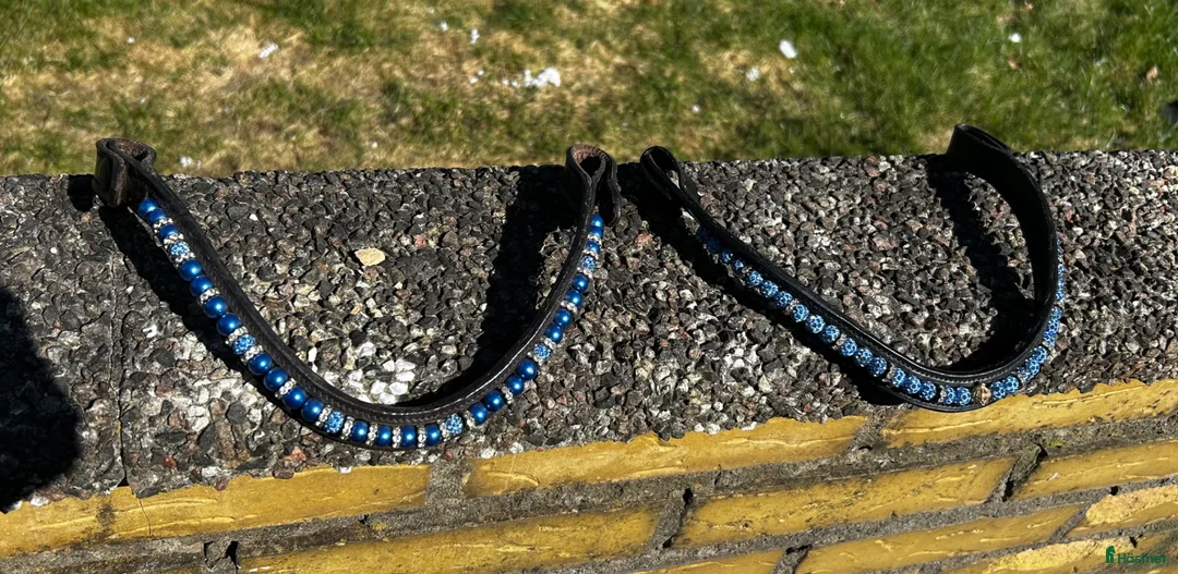 Träns hästutrustning till salu: 2 blå pannband - Annons 1